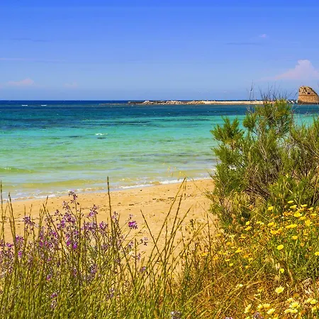 Tatil Evi On The Beach *