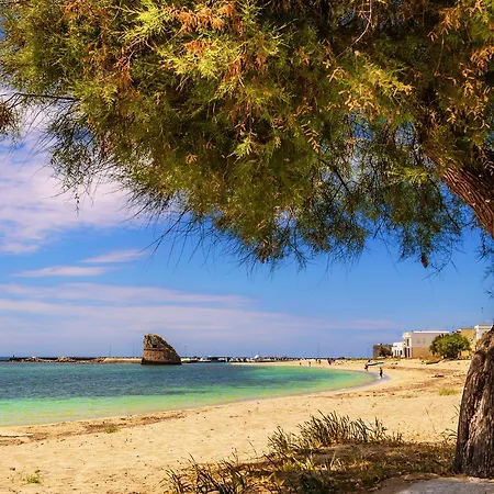 On The Beach * Torre Pali